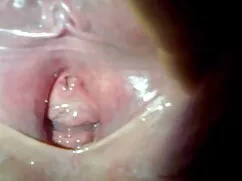 Anna không phải là vô tội chiếu phim sexy