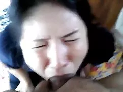 Gái chiếu phim heo đồ chơi chết tiệt