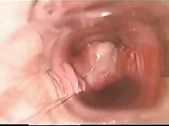 SB3 Ít chiếu phim sex cô giáo cô hiệu trưởng!